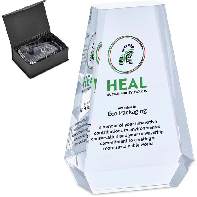 Example award trophy